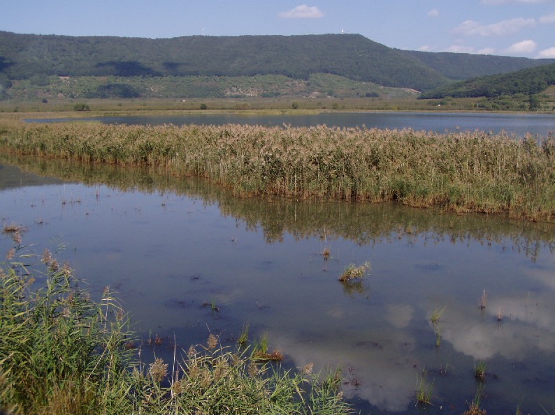 Laghi....del LAZIO